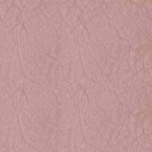 1014 rosa